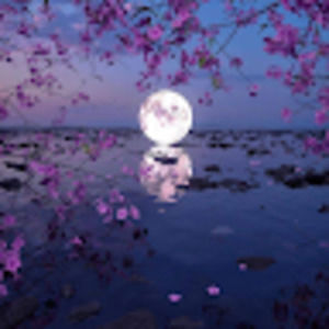 Meet a new Posher, Nikki